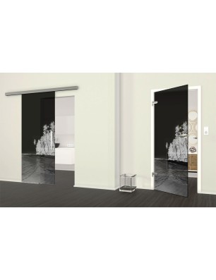 Ganzglastür Klippe Gelasert Auf Grauglas