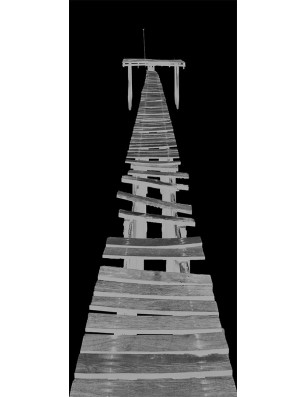 Ganzglastür Steg II Gelasert Auf Grauglas