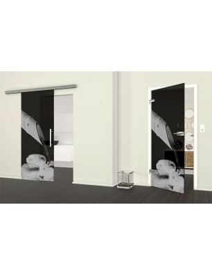 Ganzglastür Wellness  Gelasert Auf Grauglas