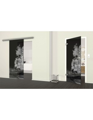 Ganzglastür Klippe II Gelasert Auf Grauglas