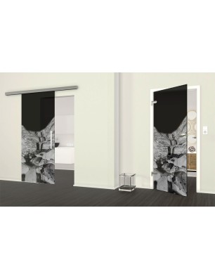 Ganzglastür Wasserfall Gelasert Auf Grauglas