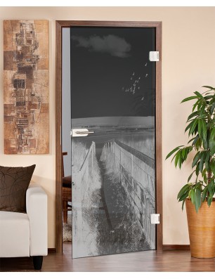 Ganzglastür Steg III Gelasert Auf Grauglas