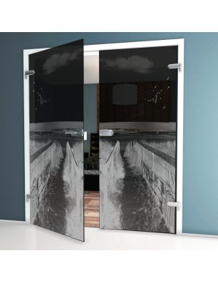 Ganzglastür Steg III Gelasert Auf Grauglas