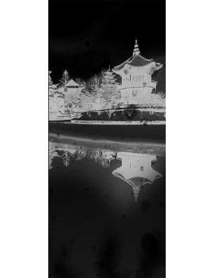 Ganzglastür Pagode Gelasert Auf Grauglas