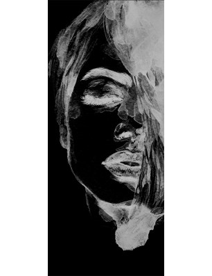 Ganzglastür Silhuette II Gelasert Auf Grauglas