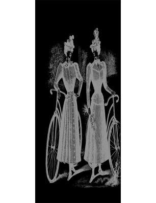 Ganzglastür Fahrrad Gelasert Auf Grauglas