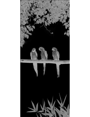 Ganzglastür Pappagei II Gelasert Auf Grauglas