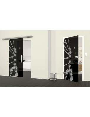 Ganzglastür California Gelasert Auf Grauglas