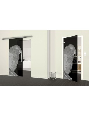 Ganzglastür Sittich Gelasert Auf Grauglas