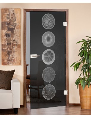 Ganzglastür Fruits Gelasert Auf Grauglas