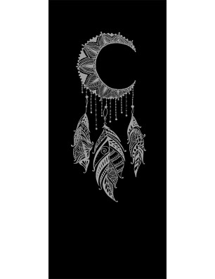 Ganzglastür Dreamcatcher Gelasert Auf Grauglas