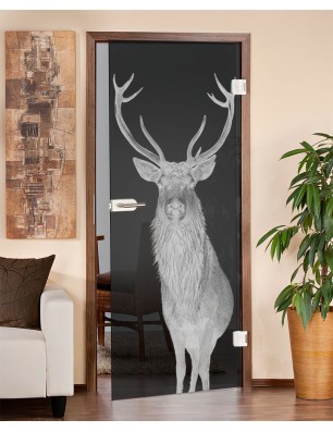 Ganzglastür Widder Gelasert Auf Grauglas