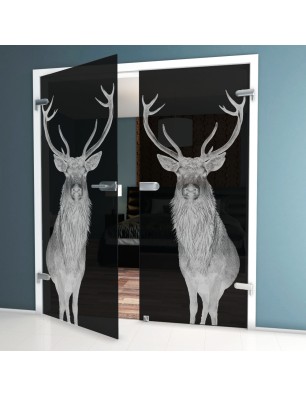 Ganzglastür Widder Gelasert Auf Grauglas