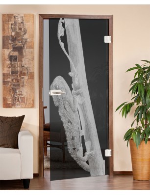 Ganzglastür Camelion Gelasert Auf Grauglas