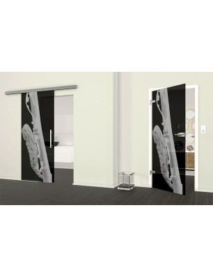 Ganzglastür Camelion Gelasert Auf Grauglas