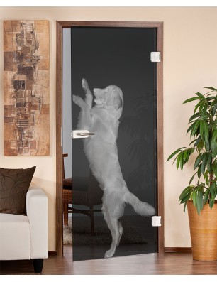 Ganzglastür Golden Gelasert Auf Grauglas