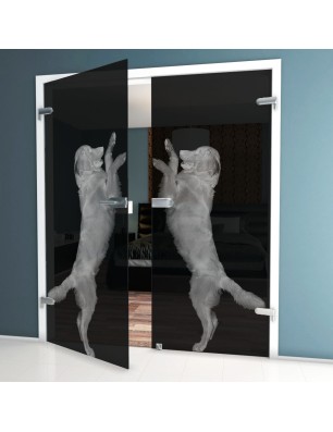 Ganzglastür Golden Gelasert Auf Grauglas