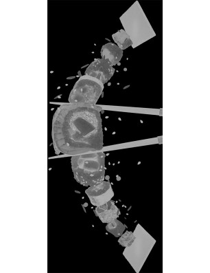 Ganzglastür Sushi Gelasert Auf Grauglas