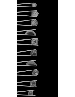 Ganzglastür Sushi II Gelasert Auf Grauglas