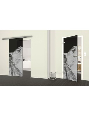 Ganzglastür Dreaming Kitty Gelasert Auf Grauglas