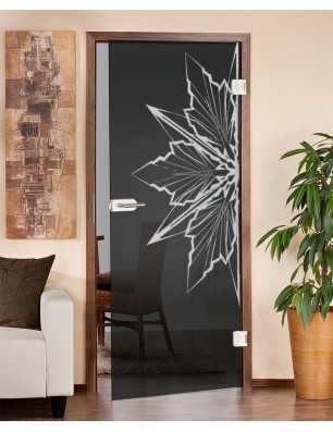 Ganzglastür Eis Gelasert Auf Grauglas