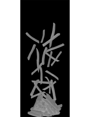 Ganzglastür Pommes Gelasert Auf Grauglas