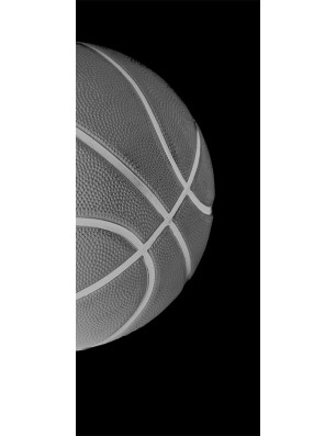 Ganzglastür Basketball Gelasert Auf Grauglas