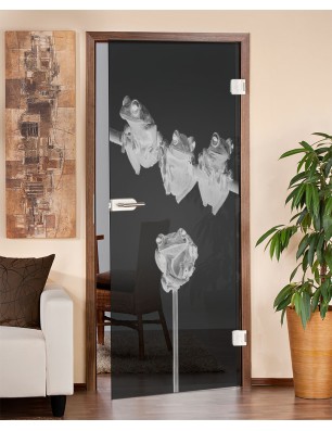 Ganzglastür Frösche Gelasert Auf Grauglas