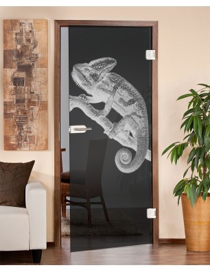 Ganzglastür Camelion II Gelasert Auf Grauglas