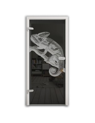 Ganzglastür Camelion II Gelasert Auf Grauglas