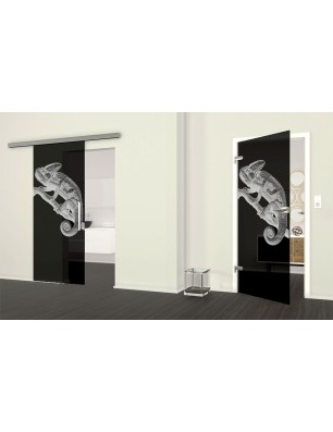 Ganzglastür Camelion II Gelasert Auf Grauglas