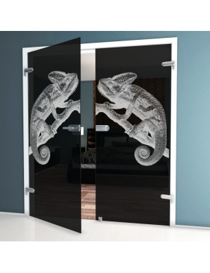 Ganzglastür Camelion II Gelasert Auf Grauglas