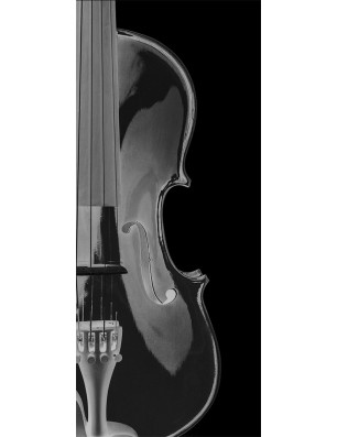 Ganzglastür Geige Gelasert Auf Grauglas