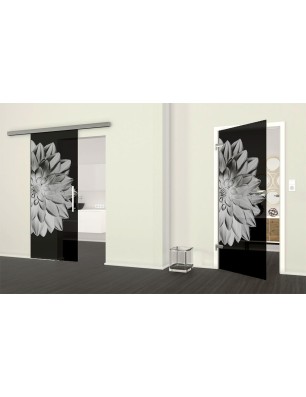 Ganzglastür Blume 4 Gelasert Auf Grauglas