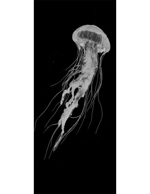 Ganzglastür Qualle II Gelasert Auf Grauglas