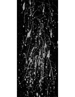 Ganzglastür Abstrakt Gelasert Auf Grauglas