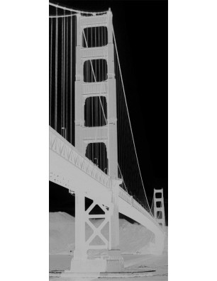 Ganzglastür San Fransisco Gelasert Auf Grauglas