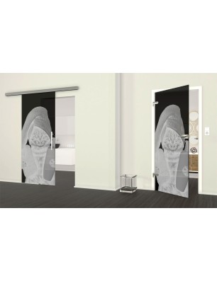 Ganzglastür Ready Gelasert Auf Grauglas