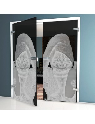 Ganzglastür Ready Gelasert Auf Grauglas