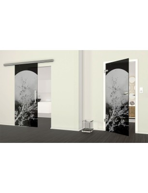 Ganzglastür Mond Gelasert Auf Grauglas