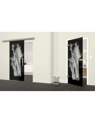 Ganzglastür Elefant Gelasert Auf Grauglas