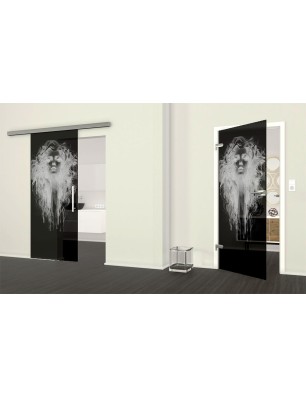 Ganzglastür Silhuette III Gelasert Auf Grauglas