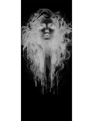 Ganzglastür Silhuette III Gelasert Auf Grauglas