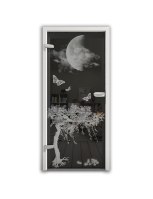 Ganzglastür Night Gelasert Auf Grauglas