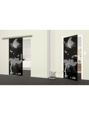 Ganzglastür Night Gelasert Auf Grauglas