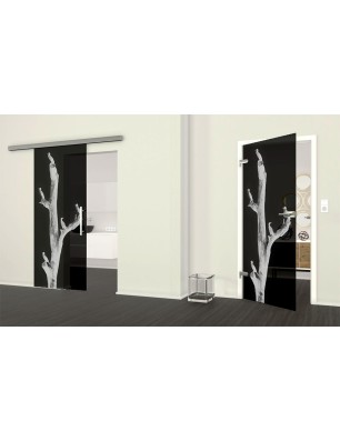 Ganzglastür Vögel Gelasert Auf Grauglas