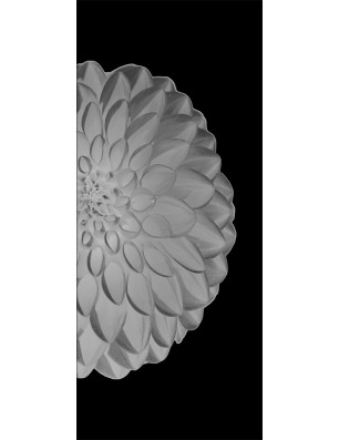 Ganzglastür Blume 8 Gelasert Auf Grauglas
