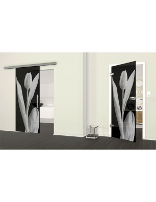 Ganzglastür Tulpe Gelasert Auf Grauglas