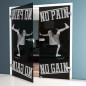 Ganzglastür No pain No Gain Gelasert Auf Grauglas Ganzglastür No pain No Gain Gelasert Auf Grauglas