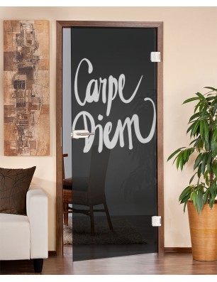 Ganzglastür Carpe Diem Gelasert Auf Grauglas